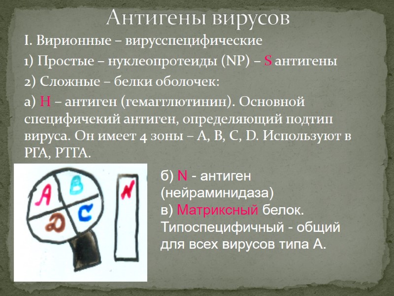 I. Вирионные – вирусспецифические 1) Простые – нуклеопротеиды (NP) – S антигены 2) Сложные